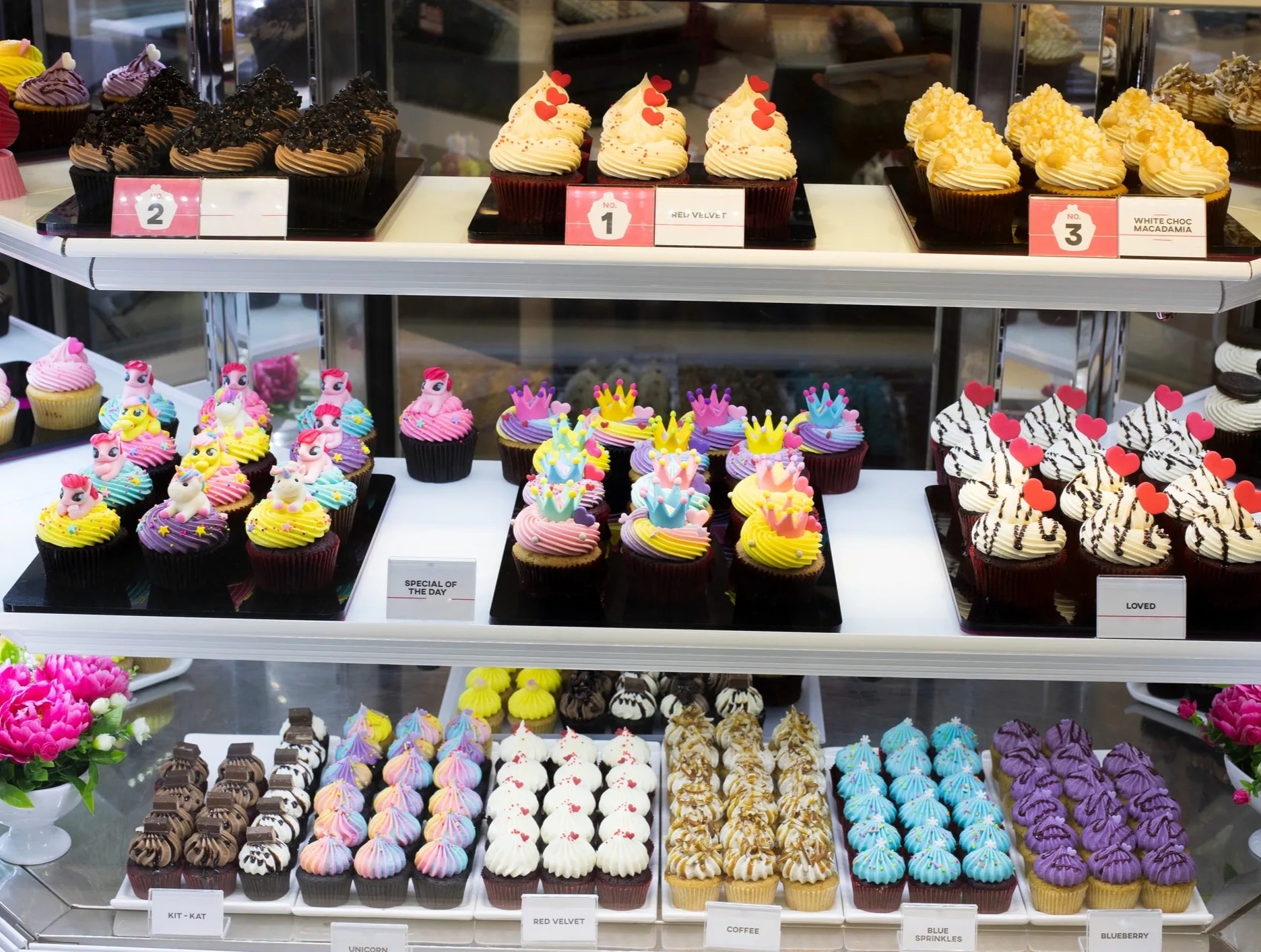 Baked Cupcakes